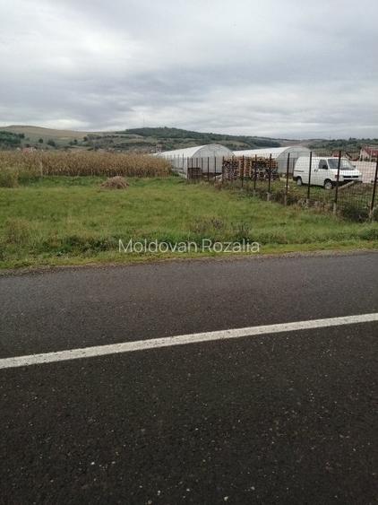 Vand teren intravilan ,Santana de Mures,1706mp,certificat de urbanism.(Cod 33F).