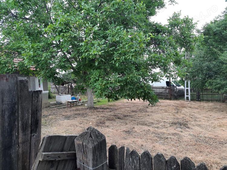 Casa si teren de vanzare Terchesti Vrancea - 6