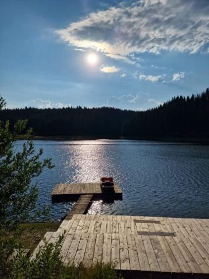 Vand teren si casa istorica in Giurcuta de Sus pe malul lacului - 10