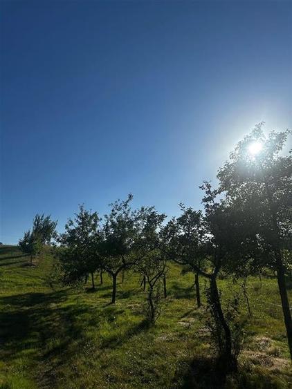 Reco Casa cu teren in Budureasa, langa Stana de Vale - 3