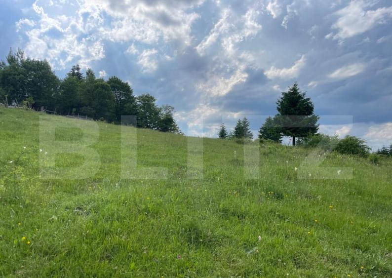 Teren de vanzare, Campulung Moldovenesc, zona Sandru, 2 ha - 2