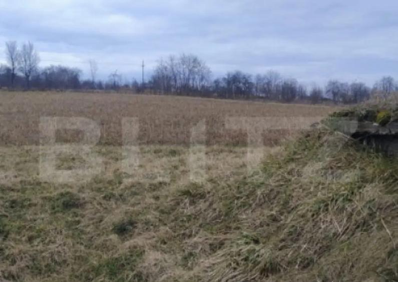 Oportunitate investi?ionala Casa cu teren extins in - 2