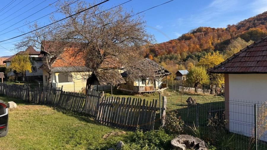 Teren Salatrucu - 7500 mp - 6