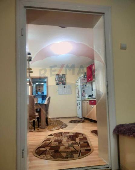 Casa la tara in satul Retis, comuna Bradeni, aproape de ... - 7