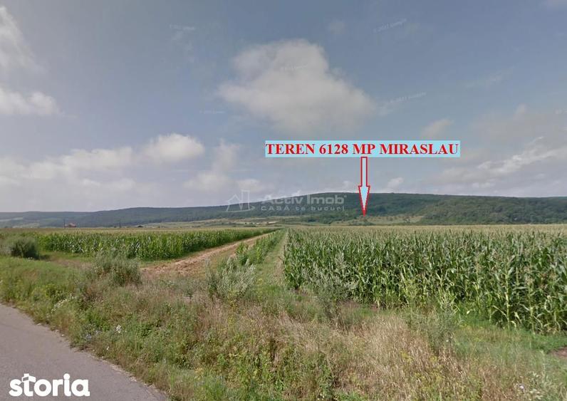 faneata Miraslau sub padure, panorama asupra satului si vaii Muresului - 1