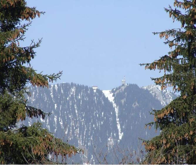 Teren Cioplea Predeal - 4