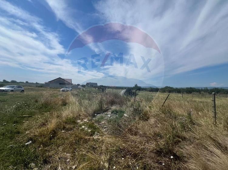 Teren intravilan Golesti / Aleea Lacramioarei - 3