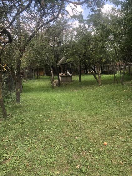 Casa batraneasca de vanzare in satul Martanus, Jud. Covasna - 8