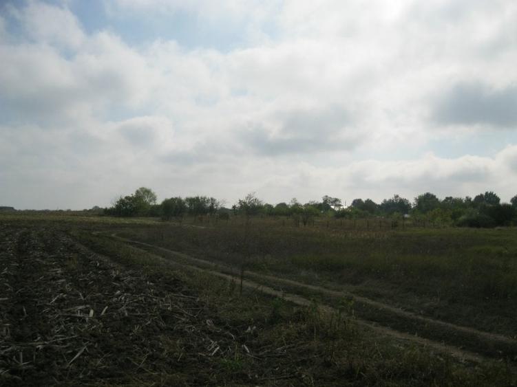 Proprietar,VandTeren10100mpDes43Utilitati150m*INVESTITIE PROIECT CASE*INTRAVILAN - 14