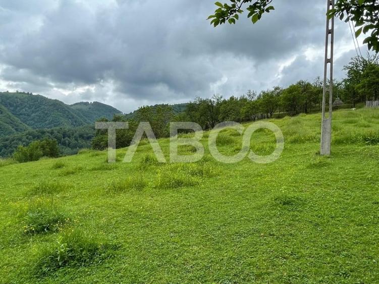 Teren intravilan de vanzare in Martinia de sus - 2