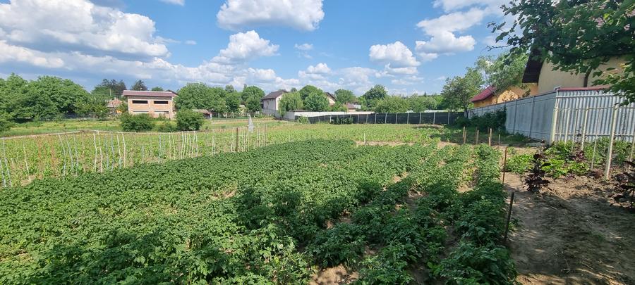 Casa renovata cu 2857mp teren Liceul Pedagogic - 11