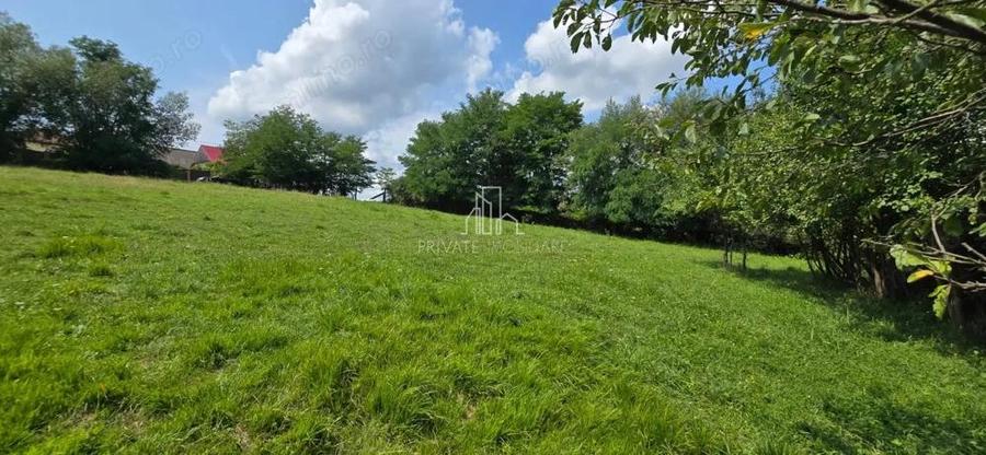 Teren, Albe?ti, str Podului - 4