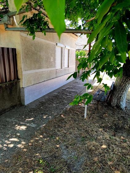 Casa + Curte + Teren arabil generos, Nerau, Teremia Mare, 1596 mp, locuibila imediat - 7