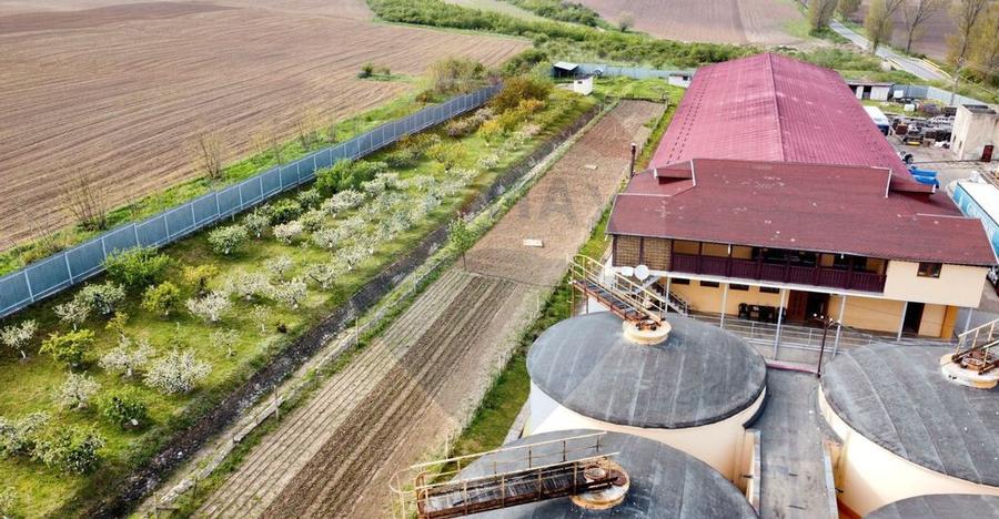 Crama din Buciumeni Afacere la cheie - 15