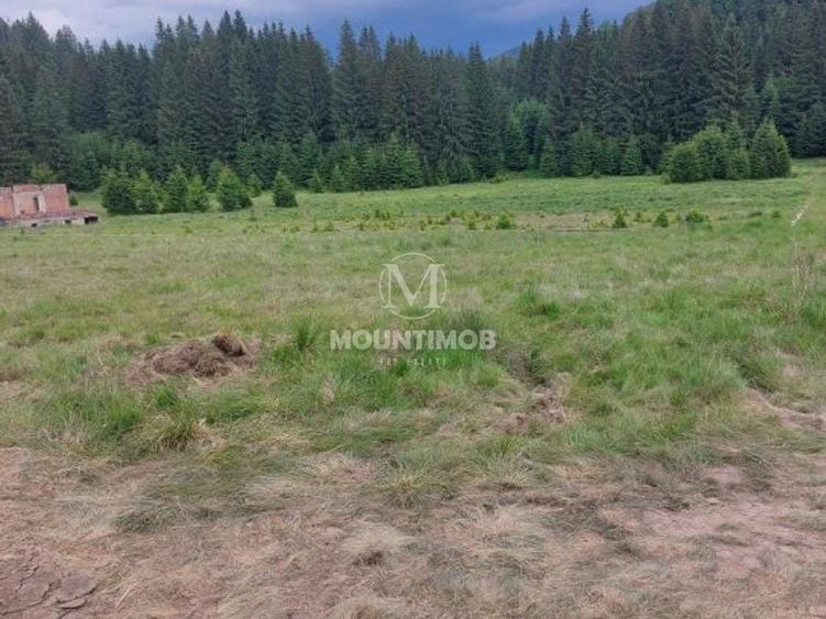 Teren intravilan în Poiana Brașov, 0% COMISION - 6