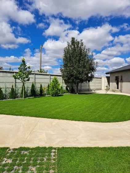 CASA CUMPANA LA ALB | TEREN 814 | BECI + PUT DE APA | - 1