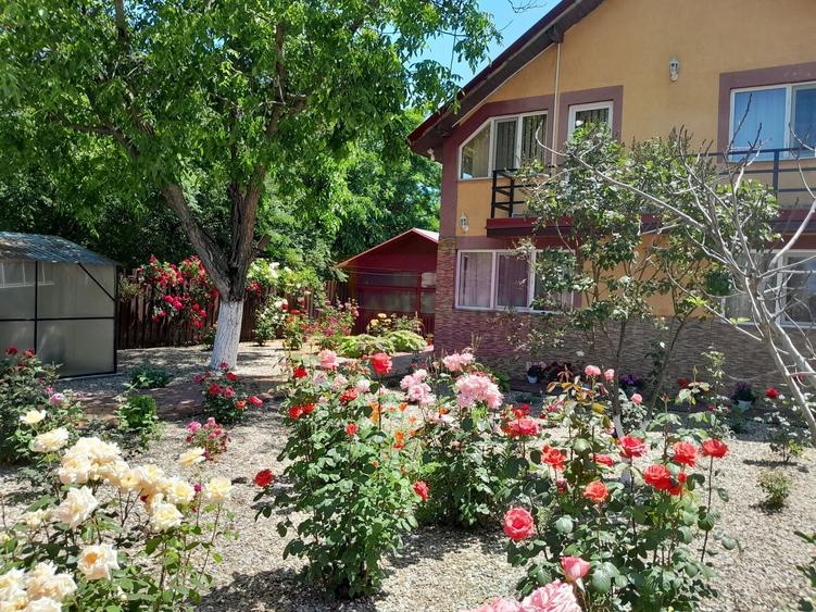 VANZARE CASA 5 CAM P+1 IN SAT MOVILITA (IL) - 9