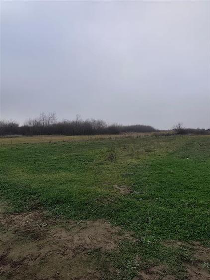 Teren intravilan in Cihei, cu PUZ aprobat, zona Fundatia Mihai Nesu - 4