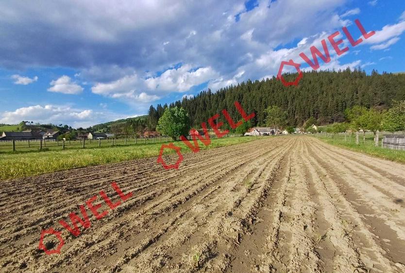 De vânzare teren intravilan în localitatea Sita Buzăului! - 4