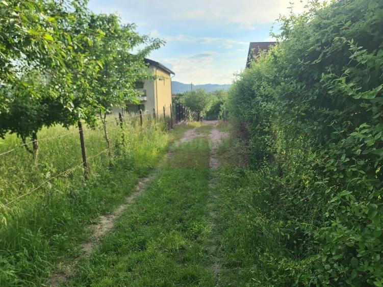 Teren Construcții intravilan de 471 mp, în Mușcel - 9