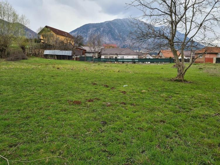 Teren Intravilan Tohanita - 1