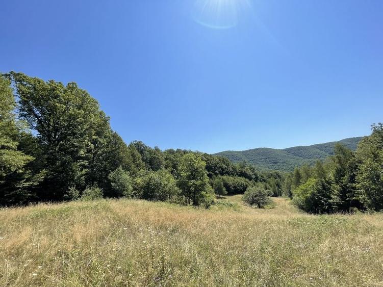 Teren Extravilan &icirc;n mijlocul naturii. - 16