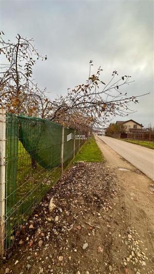 Teren de vanzare | Intravilan | Autorizatie P+1 in curs de obtinere - 2