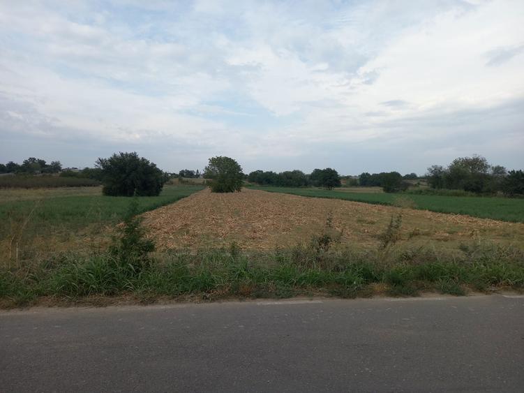 Teren jilava steaua sudului - 2