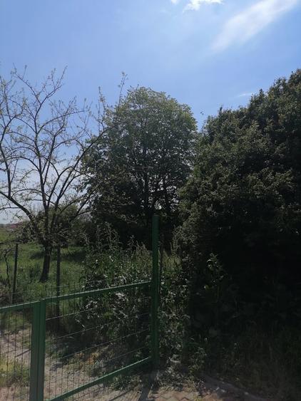 Teren intravilan construibil Lazu Centru - 5