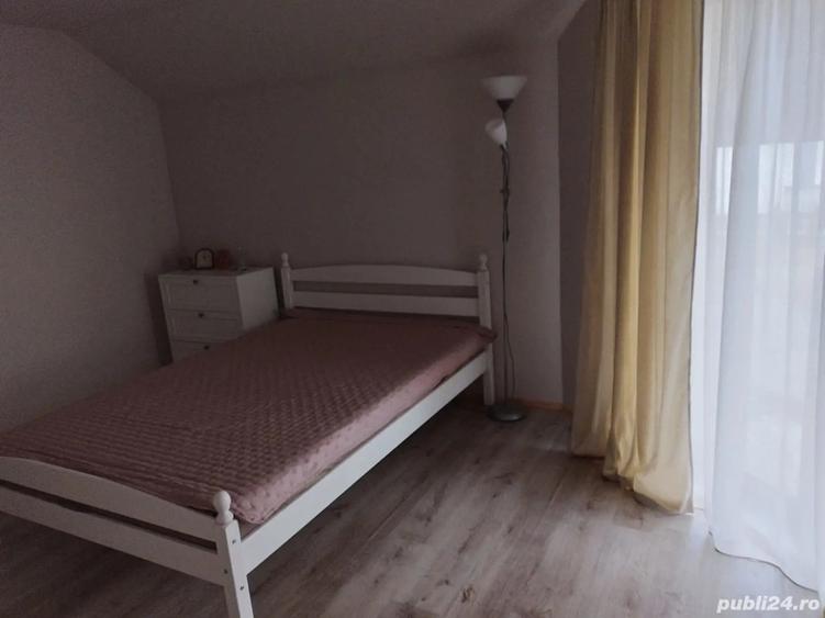 Casa de vanzare Ostrovu Corbului Hinova -Sat Nou - 3