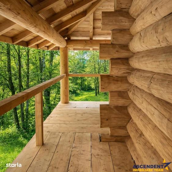 3.000mp de incantare montana cu cabana din lemn masiv, Zarnesti Tohani - 7