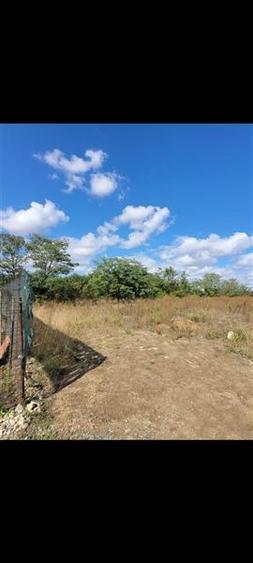 Viitorul Tau Incepe Aici - Teren de 505 mp Soseaua Constantei spre Cumpana - 4