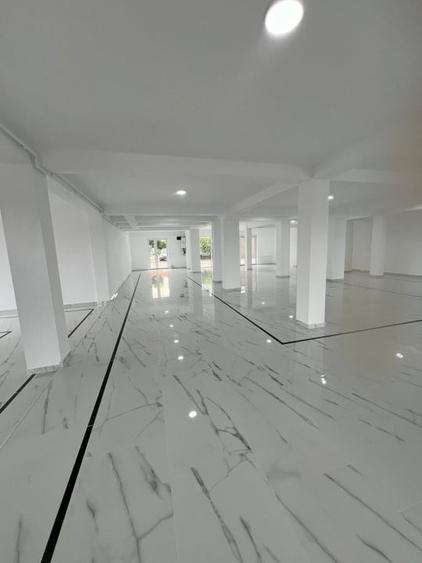 Spațiu comercial, de 250 mp, în Dumbrăvița