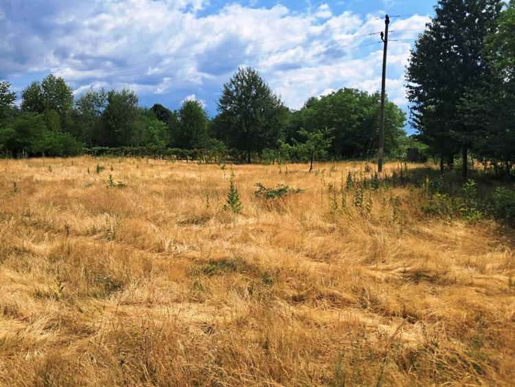 TEREN INTRAVILAN  POLOVRAGI - 4