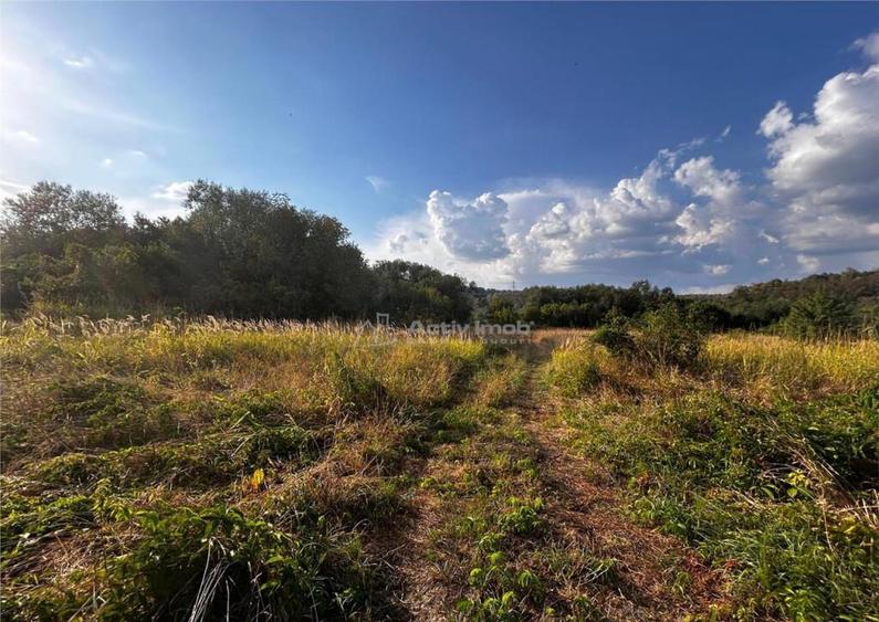 Bocsa Teren 9400 Mp Intravilan - 5