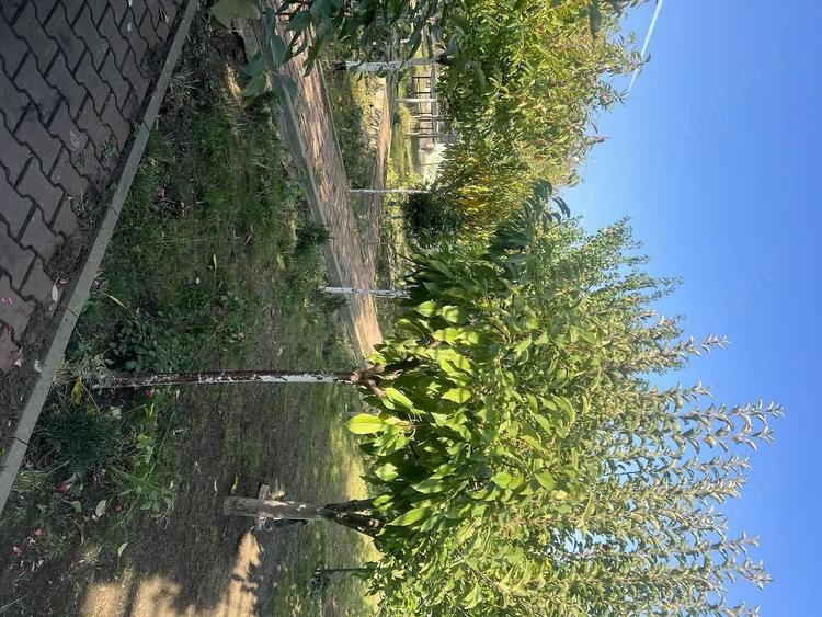 De vanzare casa 5 camere, Ploiesti - 3