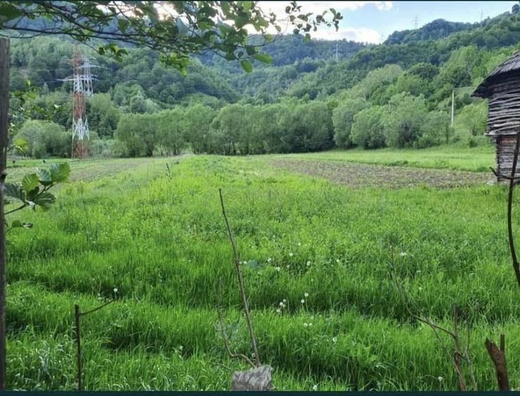 Teren intravilan Malaia - 5