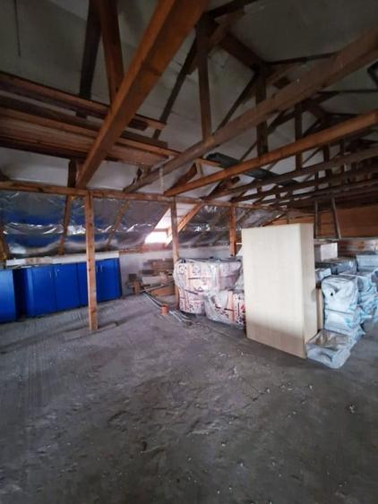 VIND VILA CU SPATIU INDUSTRIAL (retabil la orice activitate)  DASCALU IF - 7