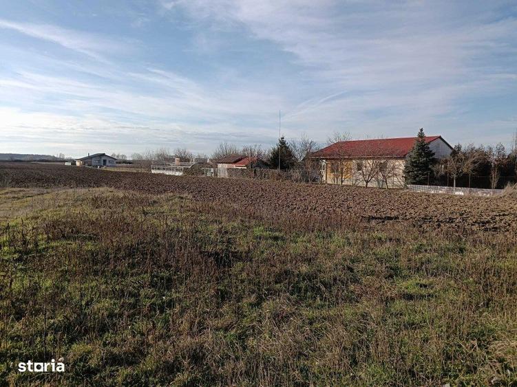 Teren intravilan investitie, Bucovat - 5