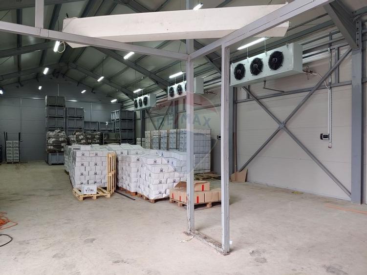 Depozit refrigerare de 292mp Dumbraveni, Suceava - 8