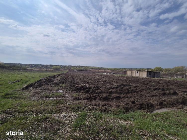 Teren intravilan de vanzare, 3300 mp, utilitati - 2