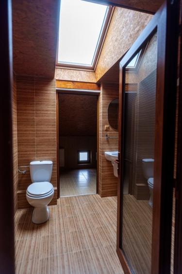 P.F. Vând vila multifuncțională, Jucu de Mijloc - 6