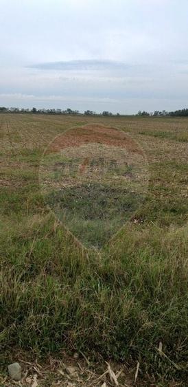 Teren extravilan 3000mp de vânzare la Sântion - 2