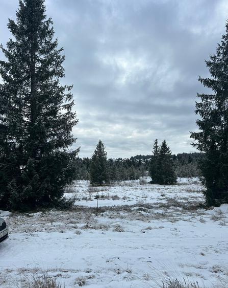 Teren Belis 1000mp - 7