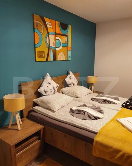 Vila deosebita cu 6 camere, 530mp, Statiunea Sovata - 10