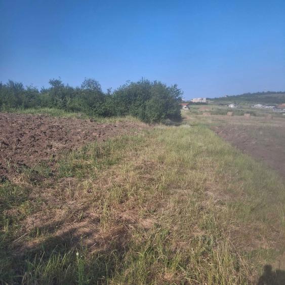 Teren Intravilan Oradea 1000 m2 Zona Nicolae Beldiceanu - 10