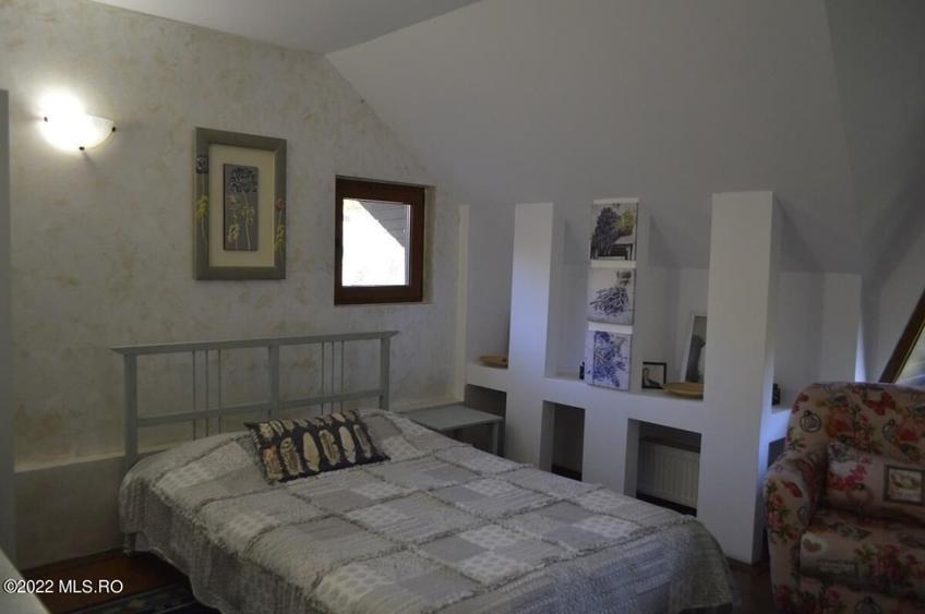 Topoloveni - Conacul Ion Mihalache, Domeniu pe 5 Hectare! - 33