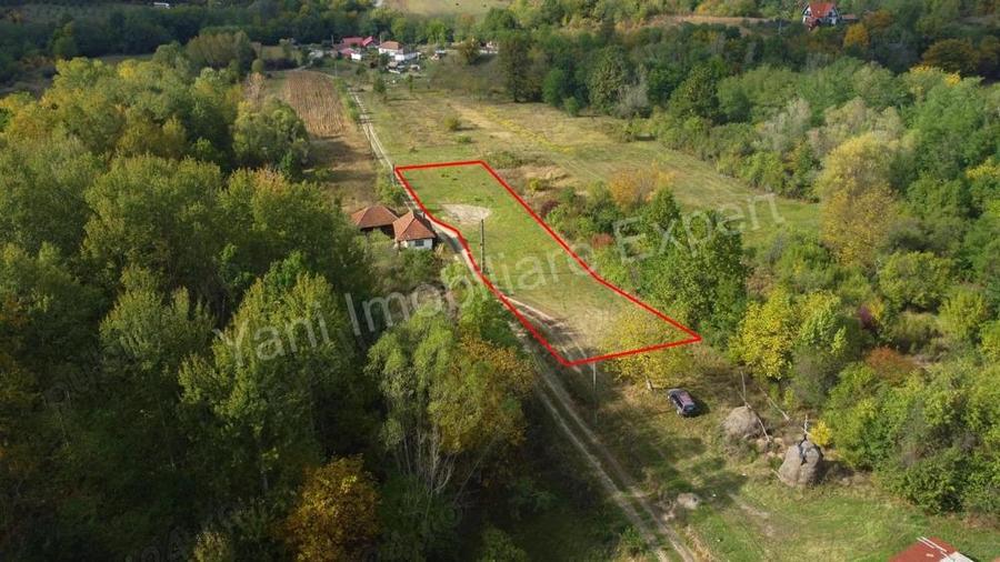 Teren de vanzare in comuna Poienarii de Arge?, sat Ioanice?ti, jude? Arge?. - 17