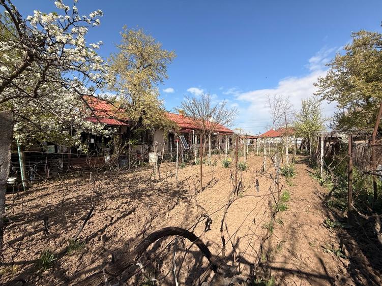 CASĂ 100 MP + 915 MP / TOATE UTILITĂȚILE - 13