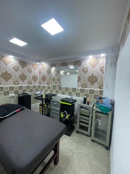 Casa individuala Brancoveanu- Nitu Vasile-INVESTITIE - 7